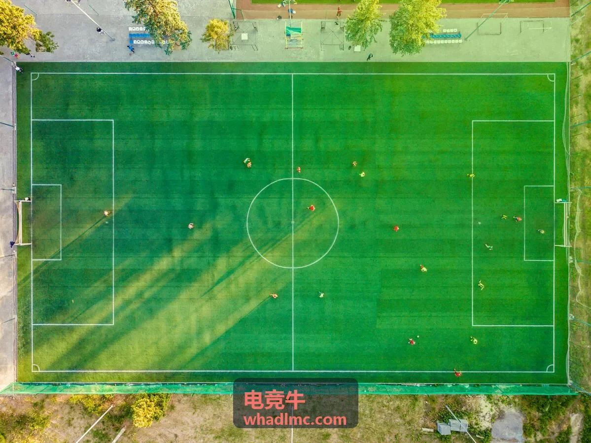 电竞牛智能战术分析功能